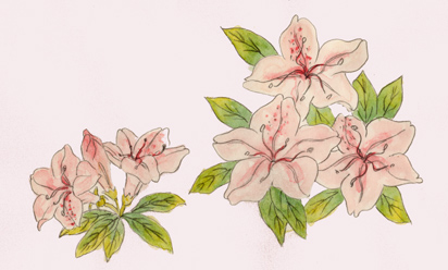 つつじの花のイラスト